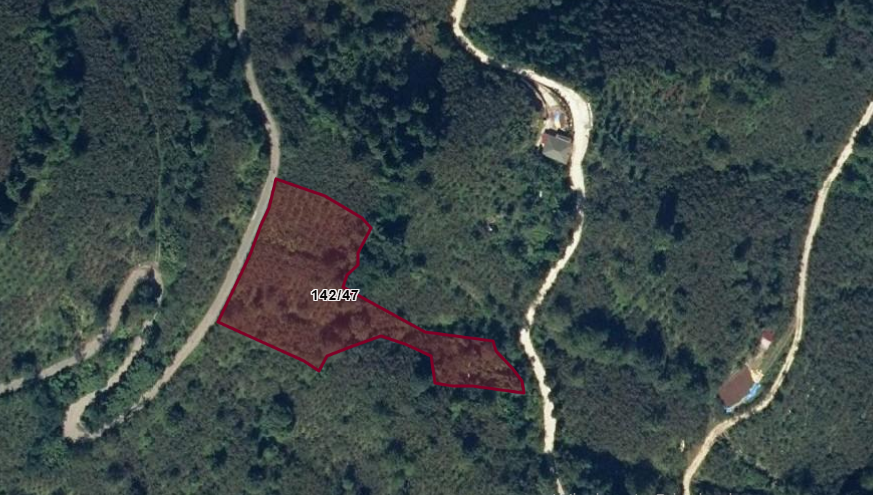 MABEL'DEN HACIKÖY MAHALLESİNDE 4750M2 FIRSAT SATILIK ARSA